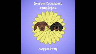 Starbox Dachshunds Compilation Chapter Donut [upl. by Jeanna241]