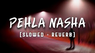 Pehla Nasa SlowedReverb  90s Song [upl. by Iphigeniah]