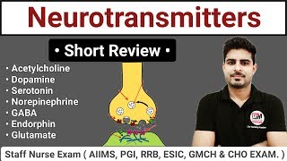 Neurotransmitters  Types and Function Short Review [upl. by Redneval]