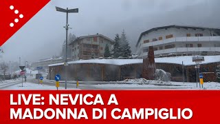 LIVE Nevicata in corso a Madonna di Campiglio diretta video [upl. by Lleval]