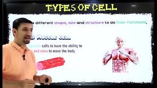 Summary Cell theory 1st sec 1st term bio dr peter metias [upl. by Cela]