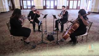 Somebody That I Used To Know  Gotye String Quartet Cover [upl. by Nimaynib]