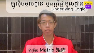 ឡូស៊ិចមូលដ្ធាន ម៉ាទ្រីស Matrix 矩阵 • SEP2  Shenze Sun [upl. by Niak]