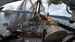 Salmon Fishing in Alaska  Big 20k lb Set [upl. by Kiele]