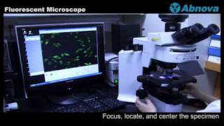 Fluorescent Microscope [upl. by Tlevesor752]