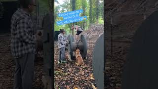 Canine Parkour Getting Ready for OCR A to Z Dog FUNdamentals caninerace malinois dogtraining [upl. by Luise897]