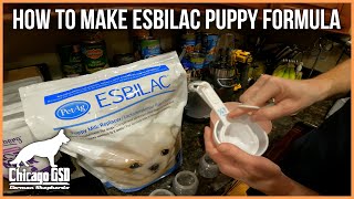 How To Make Esbilac Puppy Formula Milk Replacer Prepare Mix amp Warm Up [upl. by Nimrak312]