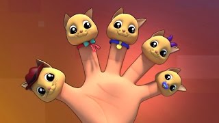 gatti famiglia dito  dito nursery rhyme famiglia  Cats Finger Family  Kids Rhyme amp Baby Song [upl. by Capon]