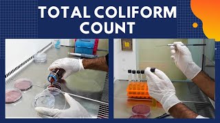 Total Coliform Count TCCA Complete Procedure ISO 48322006 [upl. by Chaddy]