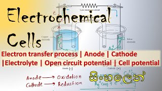 Introduction to Electrochemical Cell Anode Cathode Electrolyte Open circuit potential  Sinhala [upl. by Fleeta]