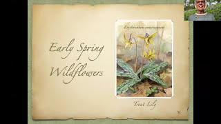 IUN Community Garden Early Spring Wildflowers  2024 [upl. by Eidoc]