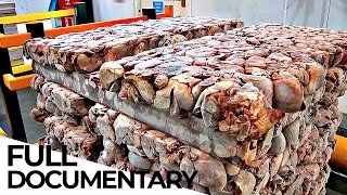 Inside The Pet Food Factory  ENDEVR Documentary [upl. by Eugatnom]