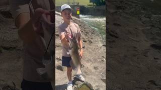 Spillway catfish while bass fishing fishing catfish fish ￼ [upl. by Marih]