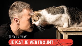 10 signalen dat je kat je vertrouwt [upl. by Eilyr]