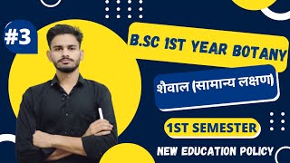 शैवाल bsc 1st year botany chapter 1 algae  botany bsc 1st year  botany 1st semester classes 2024 [upl. by Gavrilla]