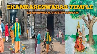 3500 YEAR 0LD MANGO TREE EKAMBARESWARAR TEMPLE PRITHVI LINGAM TEMPLE [upl. by Ail894]