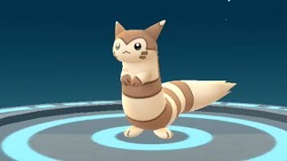 Pokemon Go Sentret to Furret Evolution Showcase Pokédex 161 and 162 [upl. by Cristina]