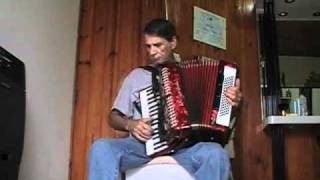 SOĂ‘AR Y NADA MAS  acordeon jose maria instrumentalwmv [upl. by Neisa769]