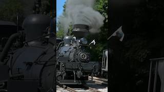 🚂 Shay 4  Cass Scenic Railroad quotParade Of Steamquot 🚂🚂🚂🚂 [upl. by Oiled]