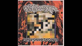 Putrefied  Fungal Growth On Corpse EP 2024 [upl. by Jenica]