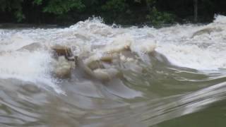 Kemps Mill Conococheague Creek Washington County MD May 6 2017 [upl. by Refinnaj335]