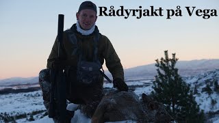 Bukke og Rådyrjakt på Vega 2021 [upl. by Annahsad]