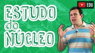 Biologia  Citologia  Estudo do Núcleo para o Enem e Vestibulares [upl. by Bridges]