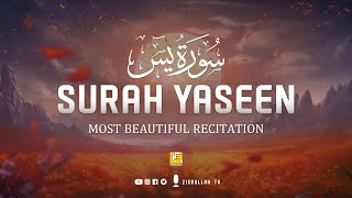 Worlds best recitation of Surah Yaseen  سورة يس ⋮ Healing Quran ⋮ Zikrullah TV [upl. by Henleigh]