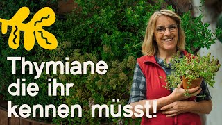 ThymianVielfalt 6 Arten Sorten die deinen Garten Küche und Gesundheit bereichern [upl. by Ambrosio]