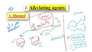 Anti neoplastic Drugs part 1  Medicinal Chemistry  E  PDF 👇 [upl. by Galatia]