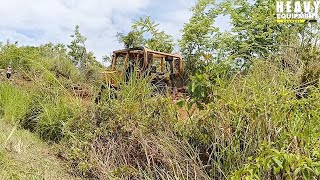 Caterpillar D6R XL Bulldozer Very Tough Working to Widen Plantation Roads [upl. by French]