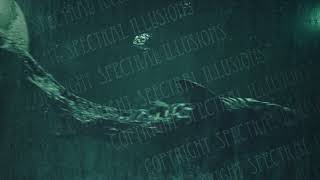 quotJump the Sharkquot by Spectral Illusions [upl. by Aleron]