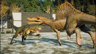 Epic Dinosaur Showdown  Velociraptor vs Indominus Rex vs Ceratosaurus  Jurassic World Evolution 2 [upl. by Ulund]