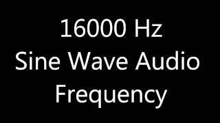 16000 Hz 16 kHz Sine Wave Sound Frequency Tone [upl. by Notelrahc160]