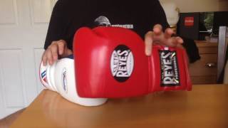 Winning vs Cleto Reyes Boxing Glove Review [upl. by Jahdal]