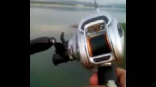 Daiwa T3 1016hl [upl. by Oakes]