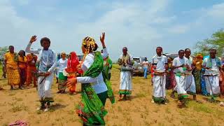 traditional dance of afar qafar qaada argadde kee kakke [upl. by Mcmullan277]