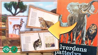 How I use Book Illustrations for my Custom Signs in Planet Zoo [upl. by Pelaga33]