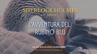 Sherlock Holmes Lavventura del Rubino Blu  AC Doyle  Audiolibro ITA [upl. by Dirk732]