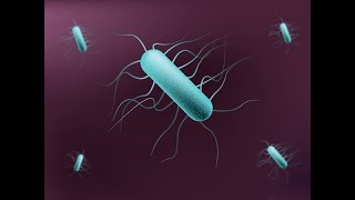 1 Bacterial Cell structure I [upl. by Liv]