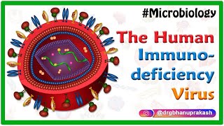 The Human immunodeficiency virus HIV  Medical microbiology animations [upl. by Yellhsa]