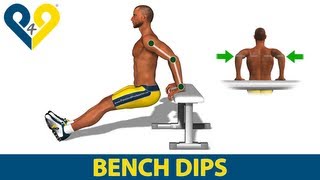 How to do triceps dips on bench [upl. by Esertap]