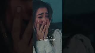 Qadar Jaani Na  Sarmad Qadeer  LoFi  Official Visualizer Reel 1 [upl. by Placeeda432]