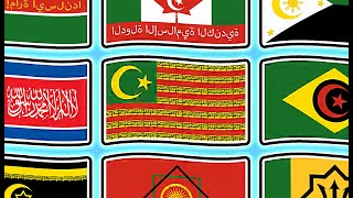 Flag Animation but All Countries are Islamic ☪︎ [upl. by Nnylanna]