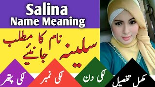 Salina Name Meaning In Urdu amp English  سلینہ  Salina Naam Ka Matlab [upl. by Greysun]