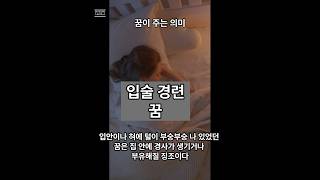 입술경련꿈 꿈해석 꿈해몽 쇼츠 입안 혀 큰입 취직 직장인 승진기회 사업가 구설수 물집 수다 삼가 [upl. by Ave312]