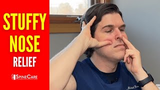 How to Instantly Relieve Sinus Congestion in the Nose [upl. by Nevyar879]