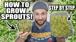 How To Grow Sprouts amp Why They Are AMAZING 🌱 [upl. by Enileuqaj]