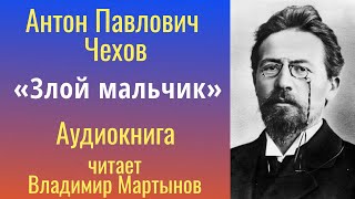 АП Чехов quotЗлой мальчикquot Аудиокнига [upl. by Gamin]