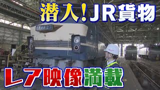 【潜入】関西最大級の貨物ターミナル 見直される鉄道輸送 エコで優しい仕掛けとは【JR貨物】 [upl. by Aitnahs391]